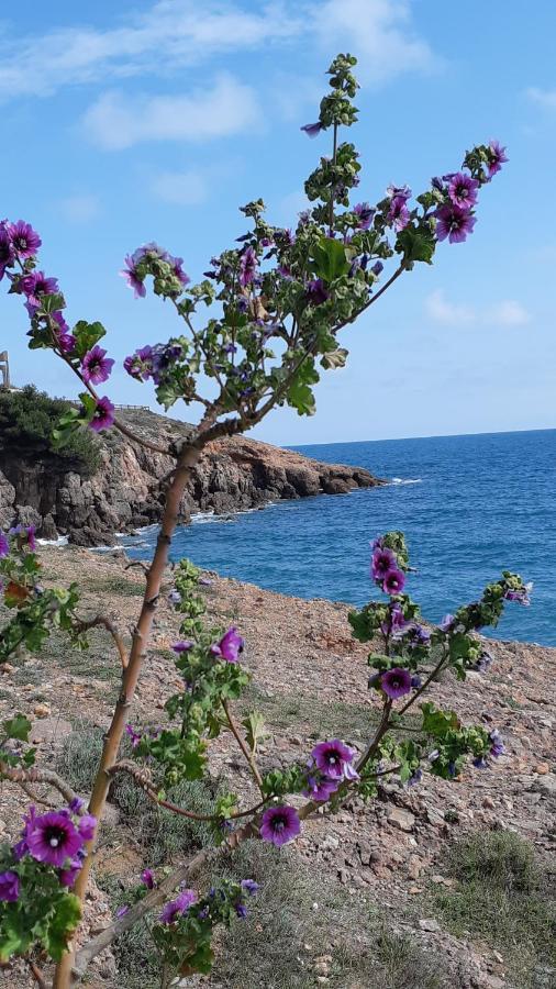 Perle D'asie 2 Bed & Breakfast Sete